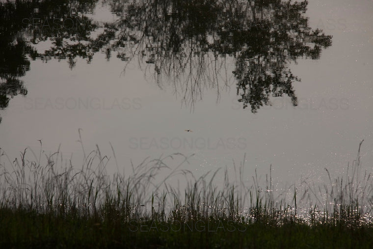 Reflection