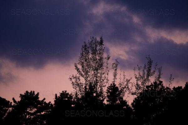 Evening Sky – Ahae