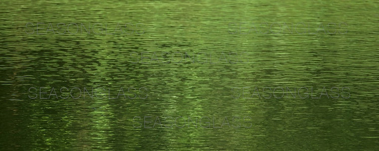 Waves on Pond