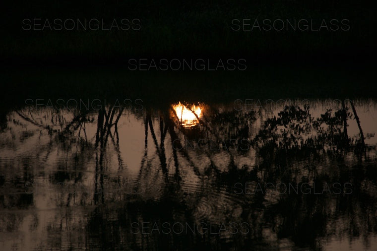 Reflection