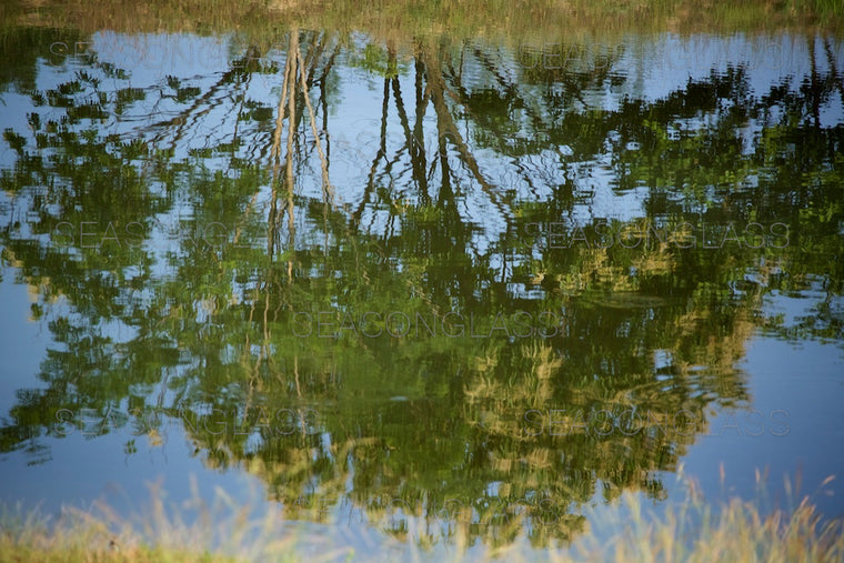 Reflection