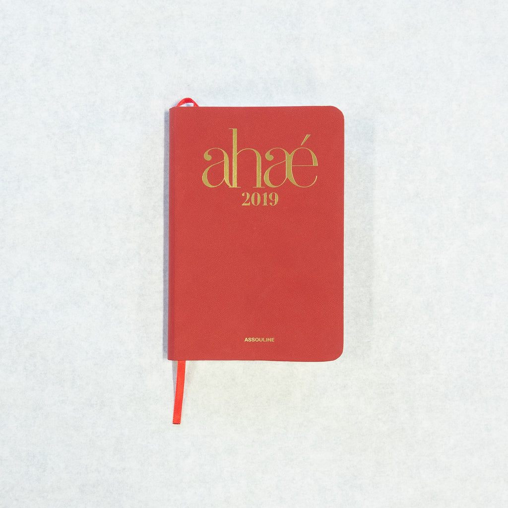 2019 Diary Calendar