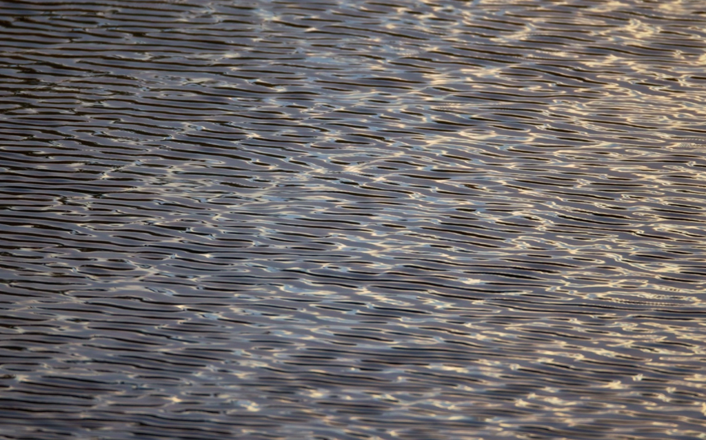 Pond, Water & Reflections - Eshkeri