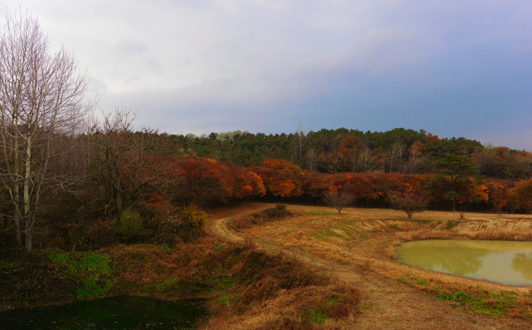Autumn - Eshkeri
