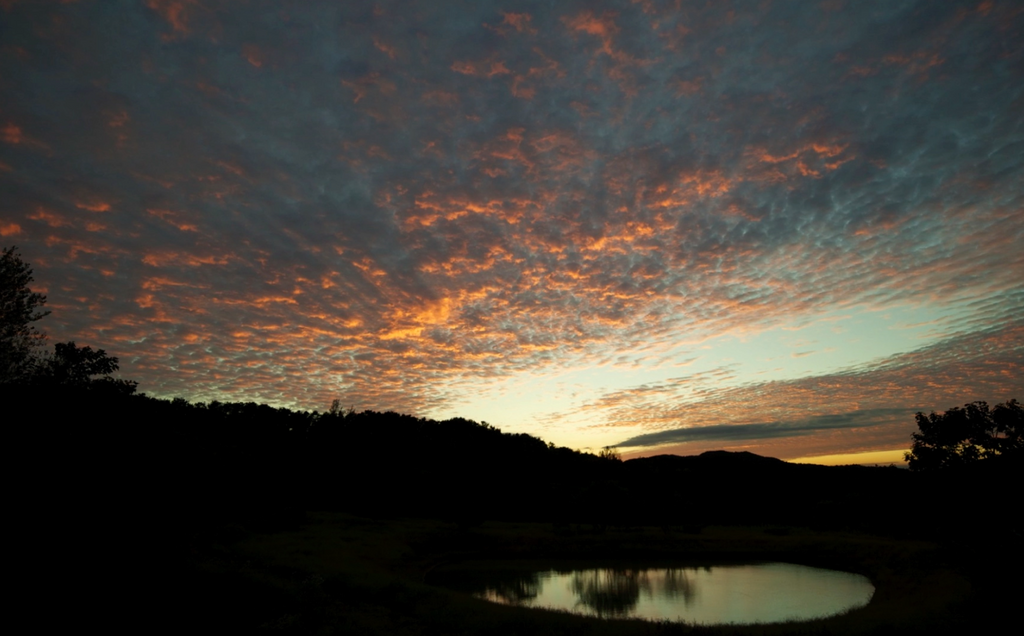 Sunset, Twilight & End - Eshkeri
