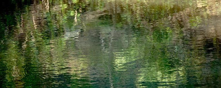 Reflection
