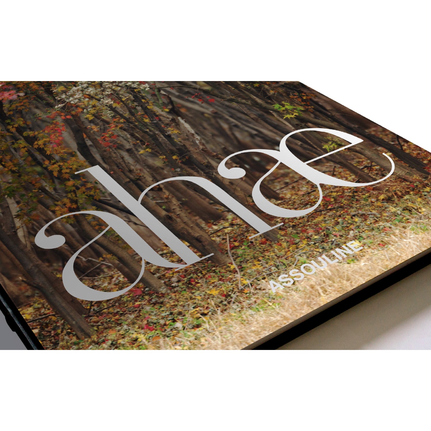 Limited Edition 'AHAE XXL' Book – Ahae