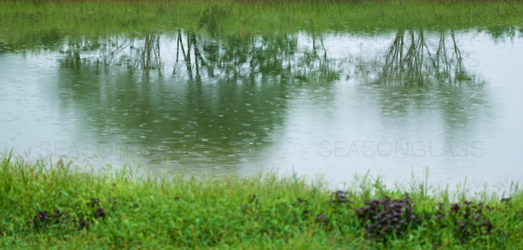 Reflection