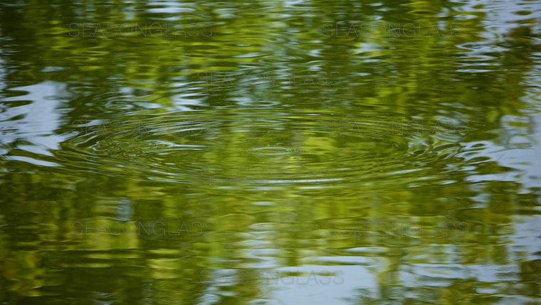 Reflection
