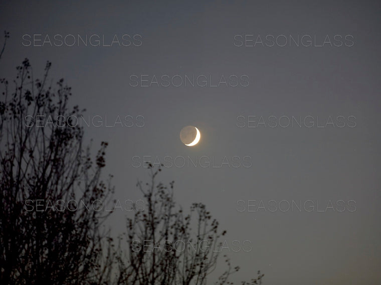 Crescent Moon
