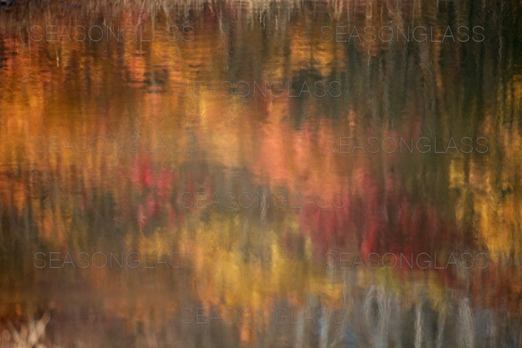 Reflection