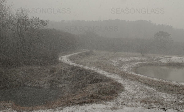 Woods in Winter – Ahae