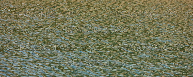 Waves on Pond