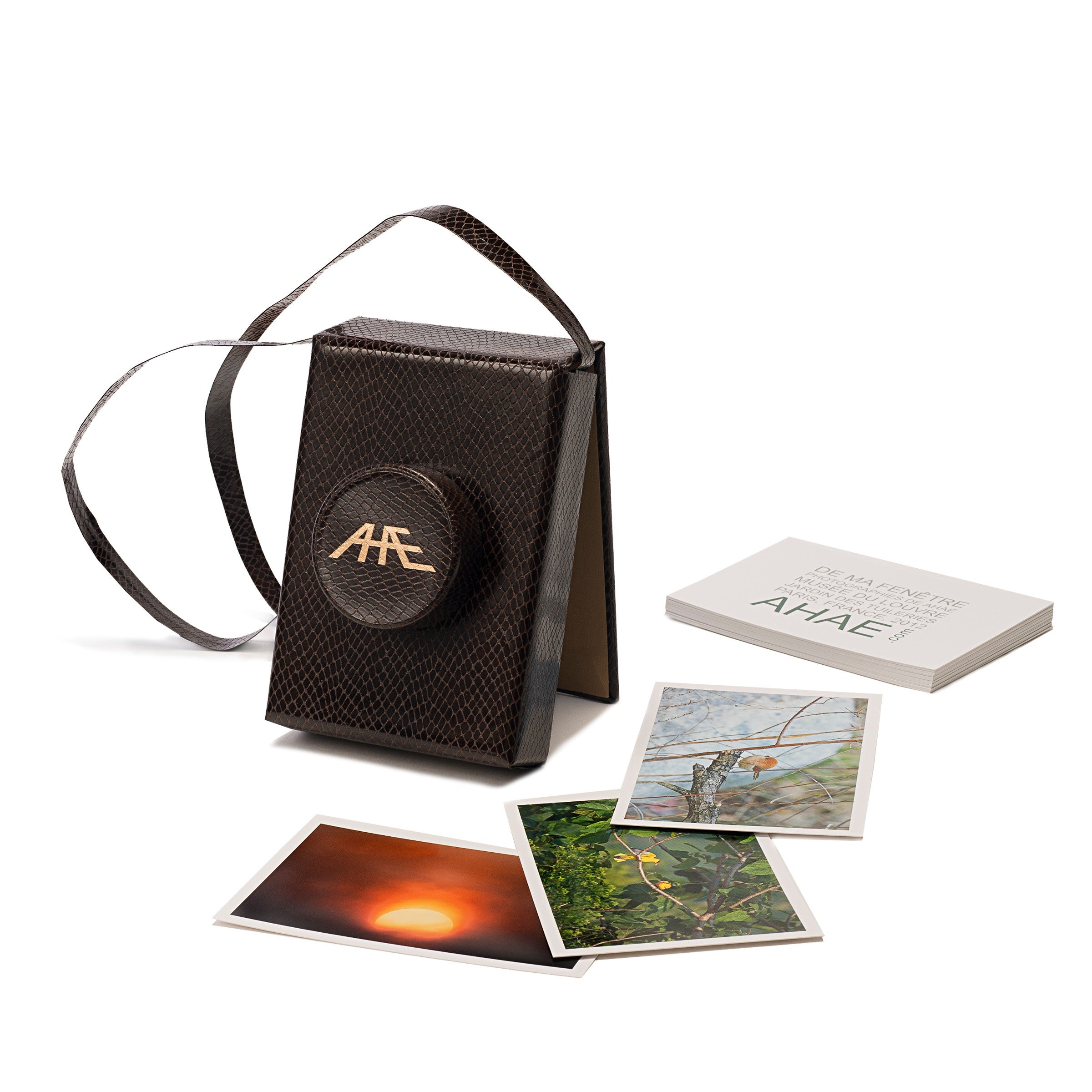 Postcard Set (Special Edition) - Camera – Ahae