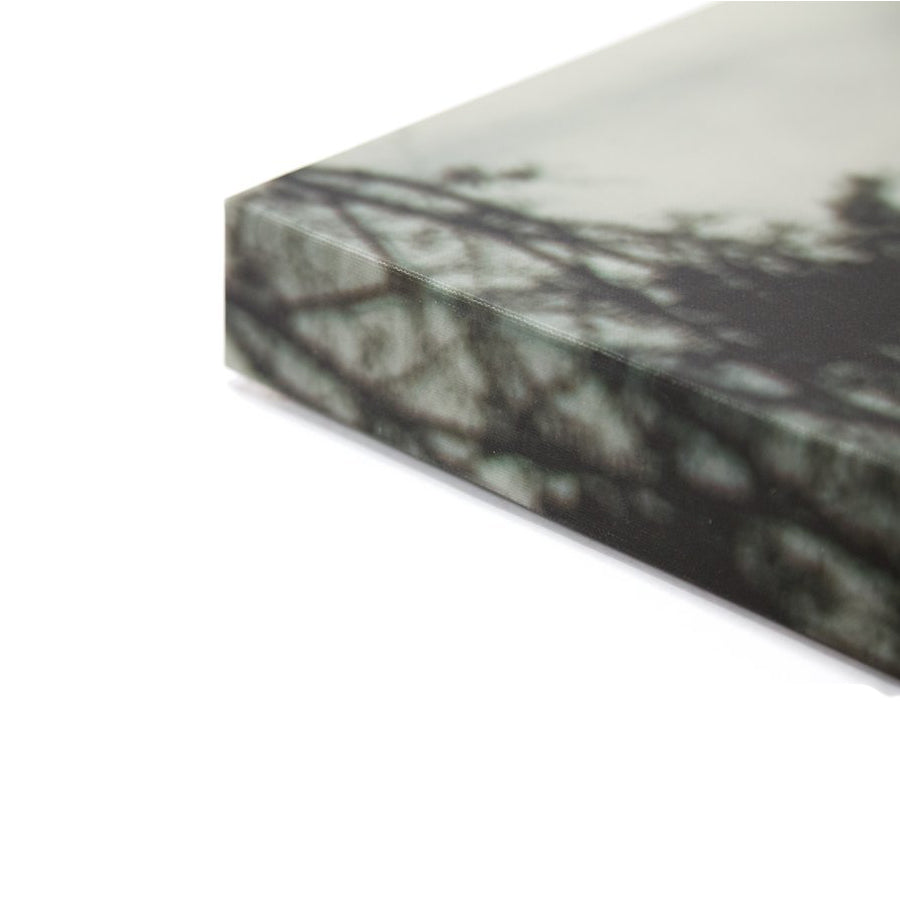 Mulberry Tree, on Art Canvas (36 x 54" – 914 x 1372mm)