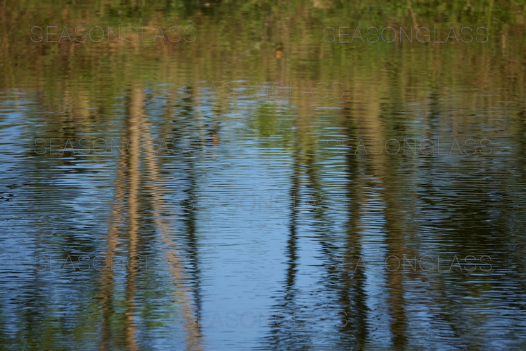 Reflection