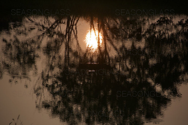 Reflection