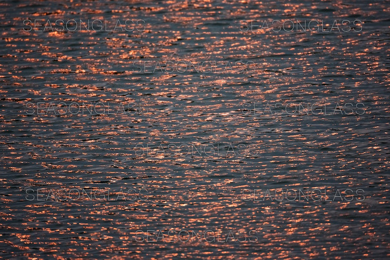 Waves on Pond