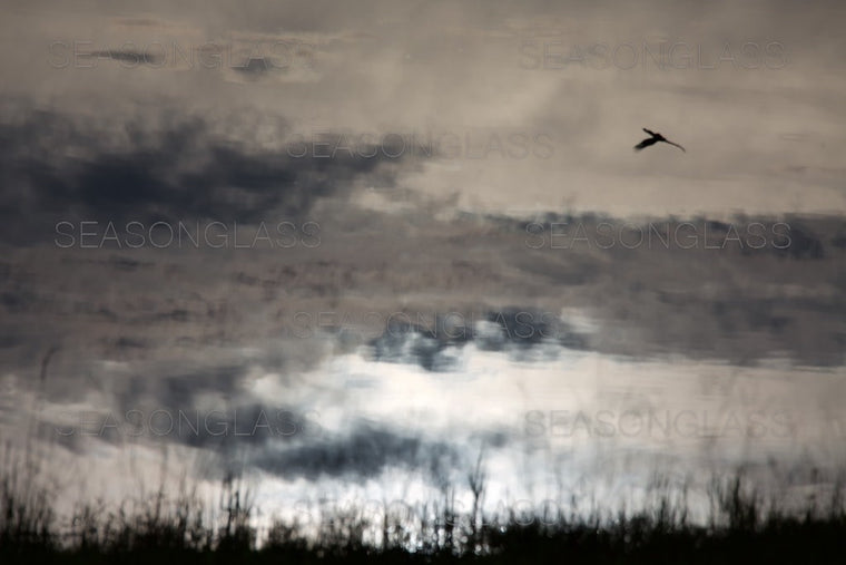 Reflection
