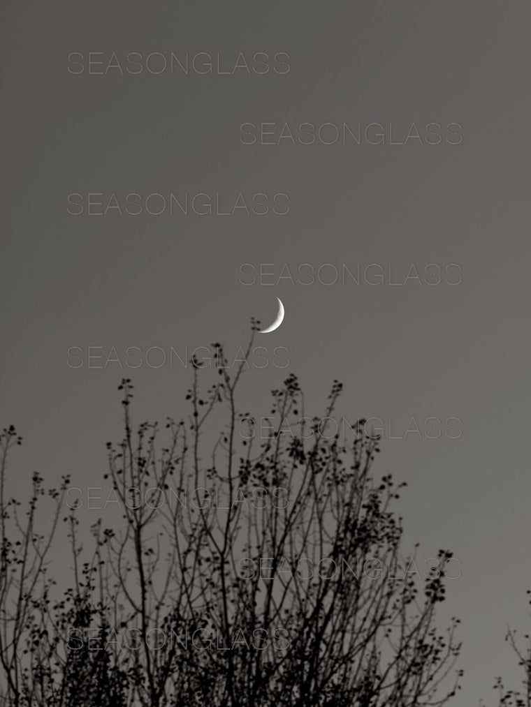Crescent Moon
