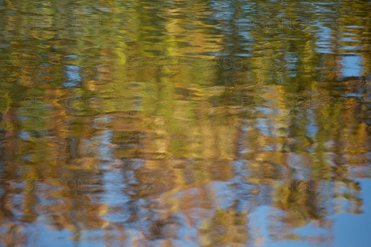 Reflection