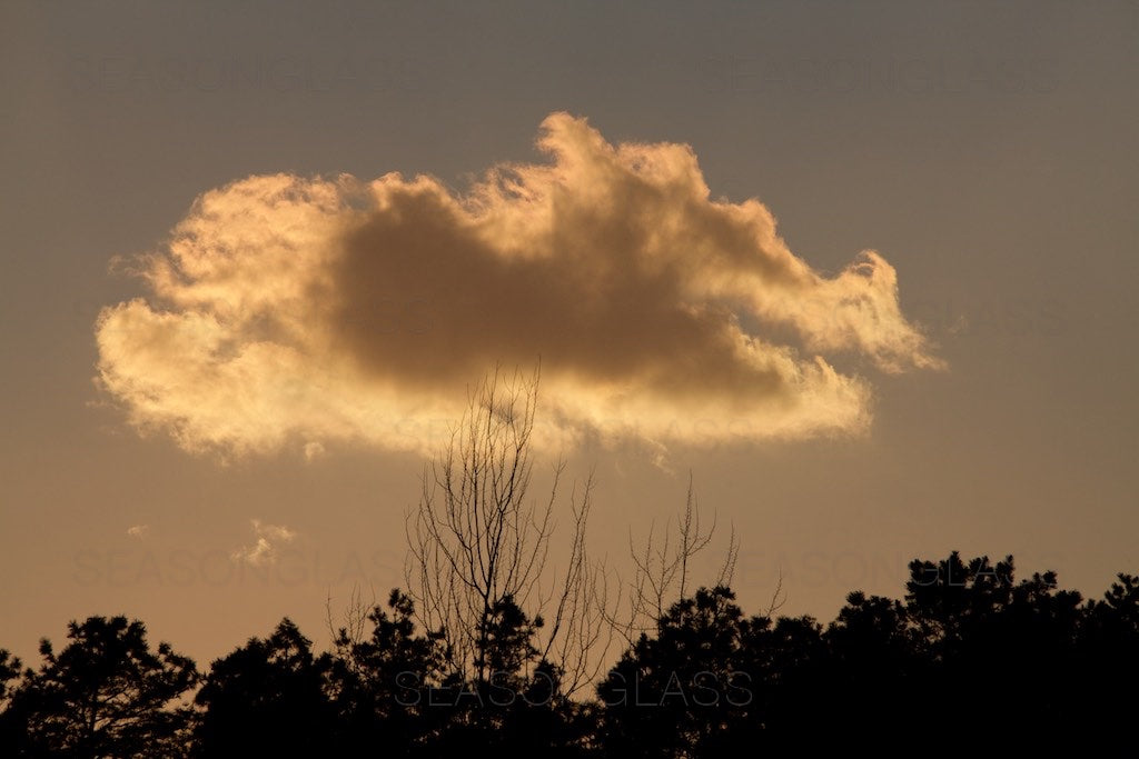 Light and Clouds