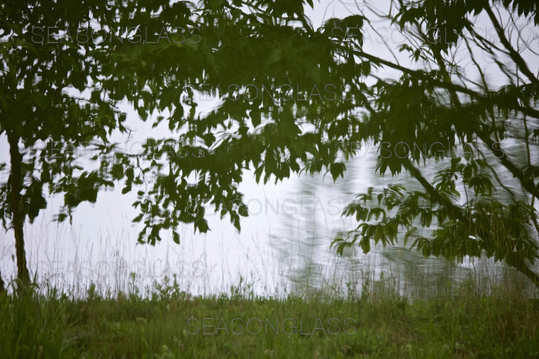 Reflection