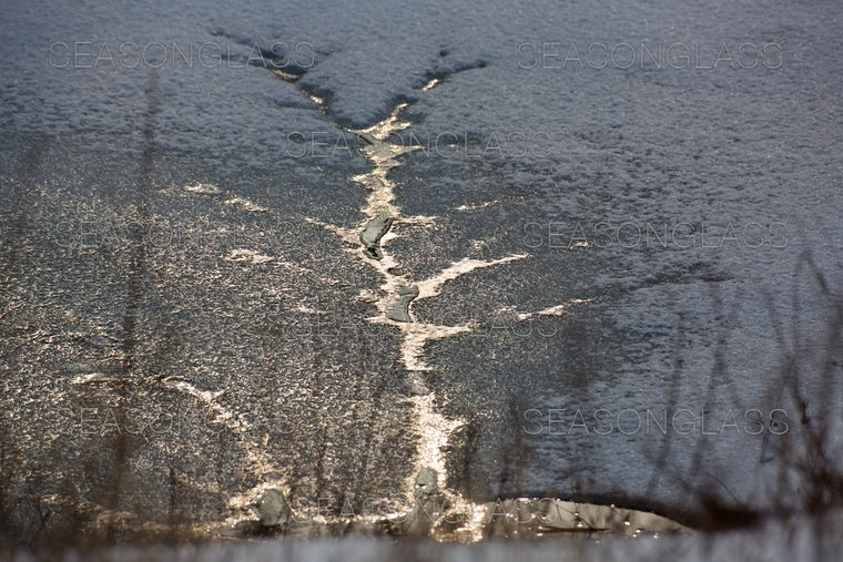 Icy Pond
