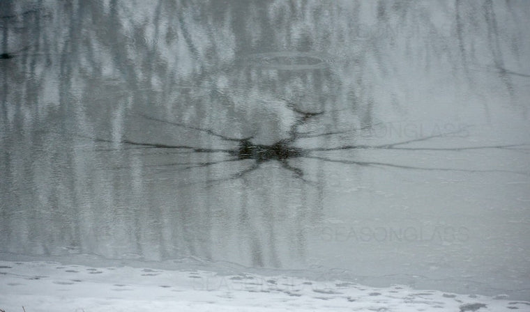 Icy Pond