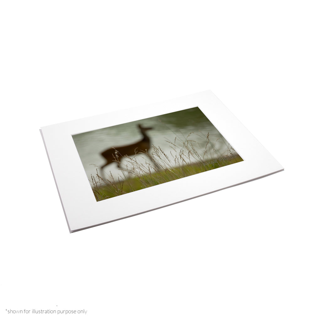 Matte Frame Print