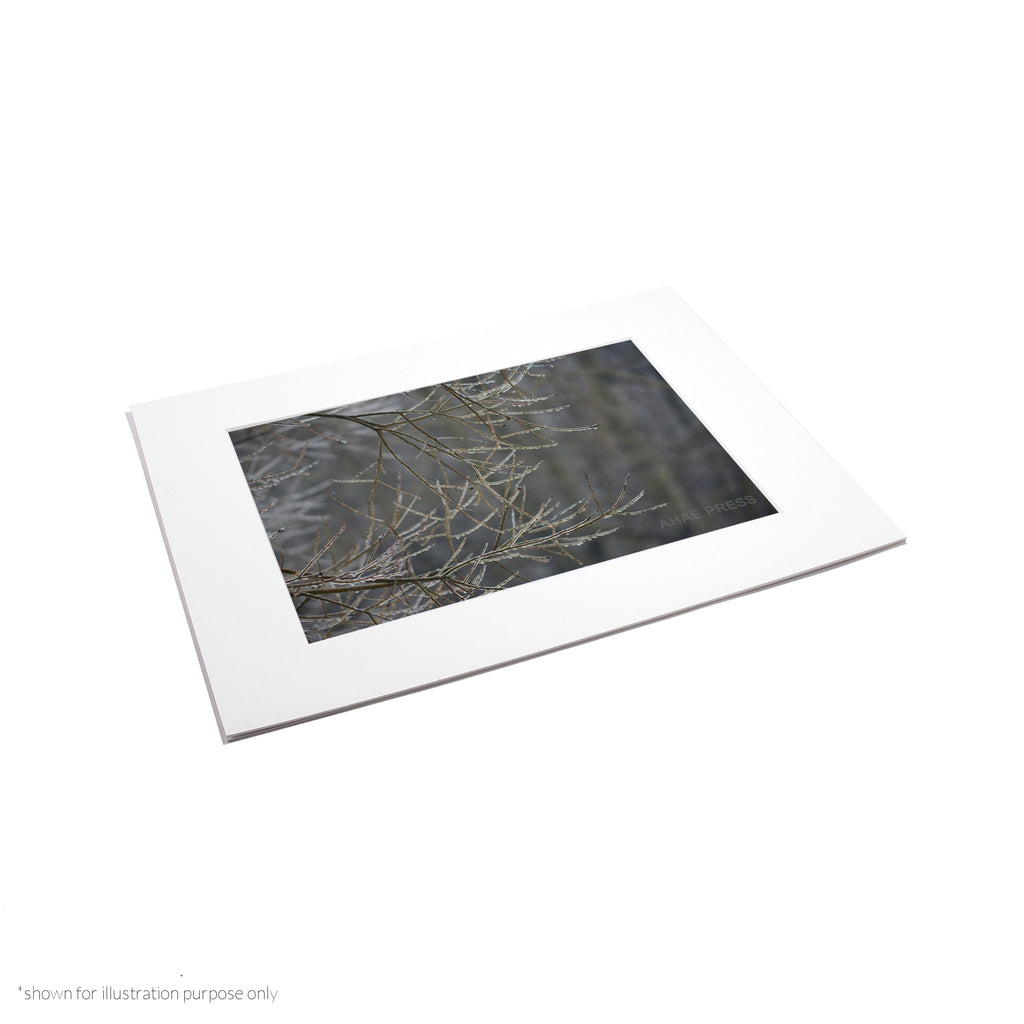 Matte Frame Print