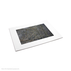 Matte Frame Print