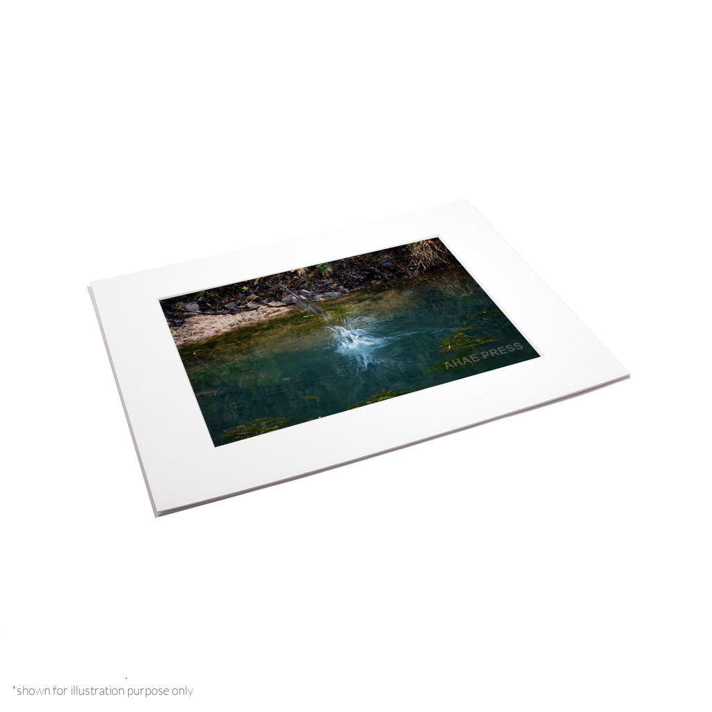 Matte Frame Print