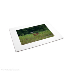 Matte Frame Print