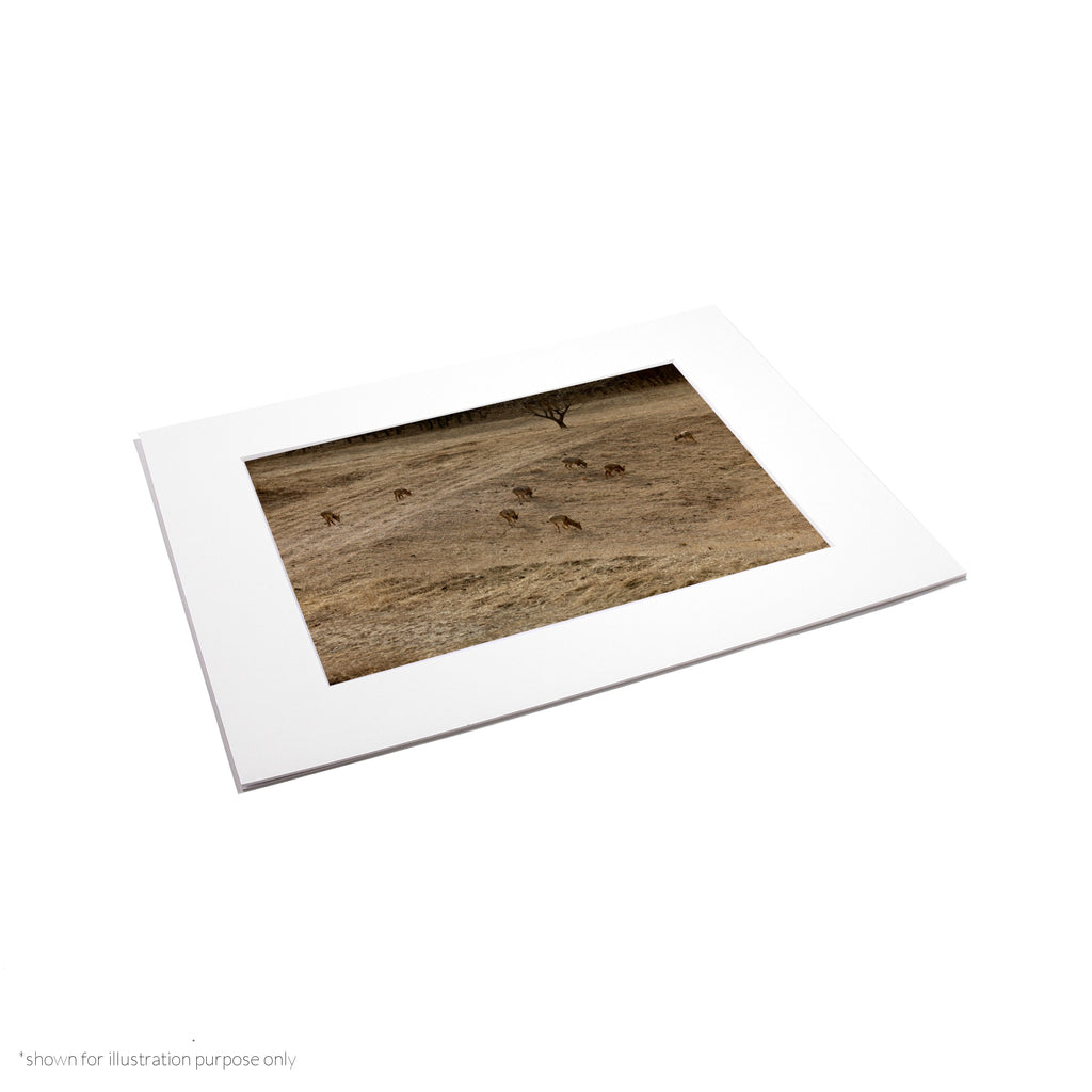 Matte Frame Print