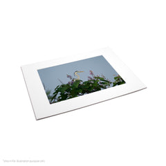 Matte Frame Print