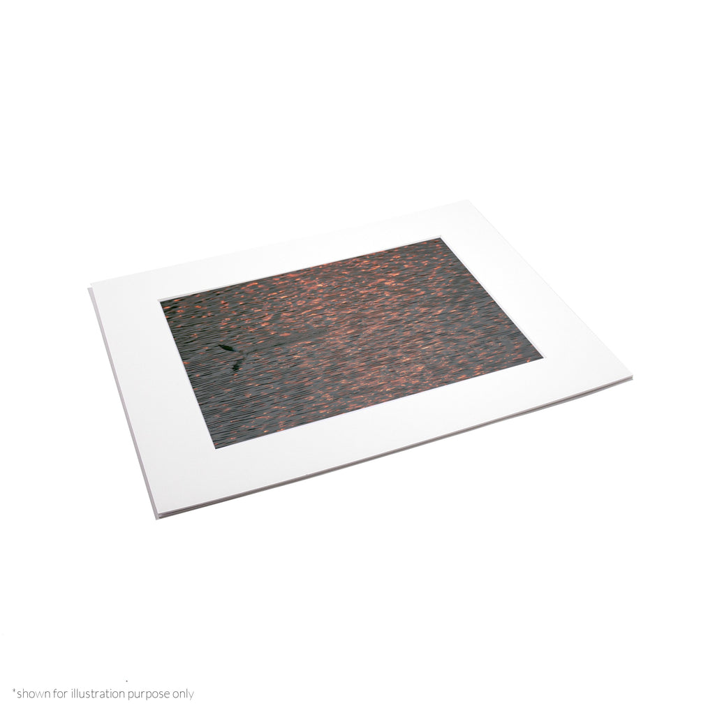 Matte Frame Print