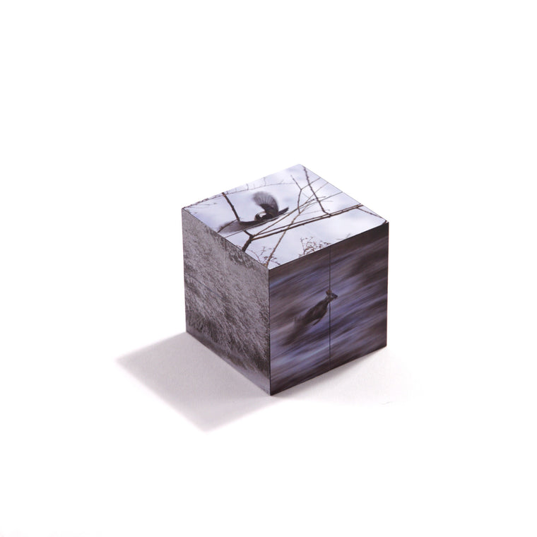 Puzzle Cube