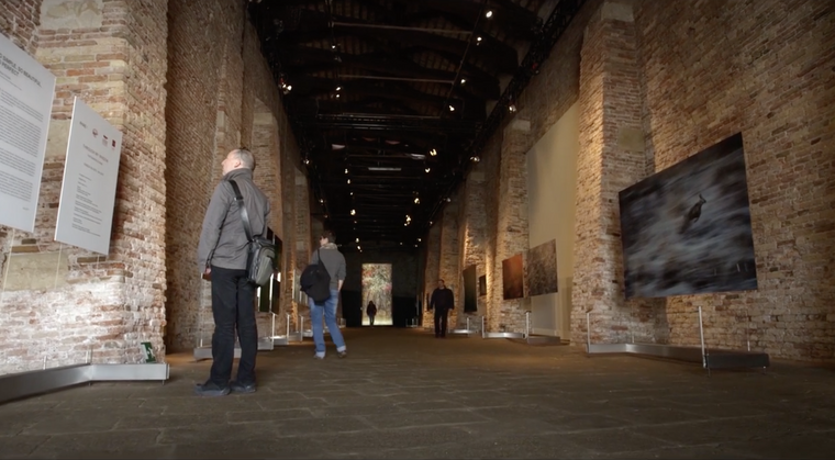 Venice Fine Art Academy and Bucintoro 2012