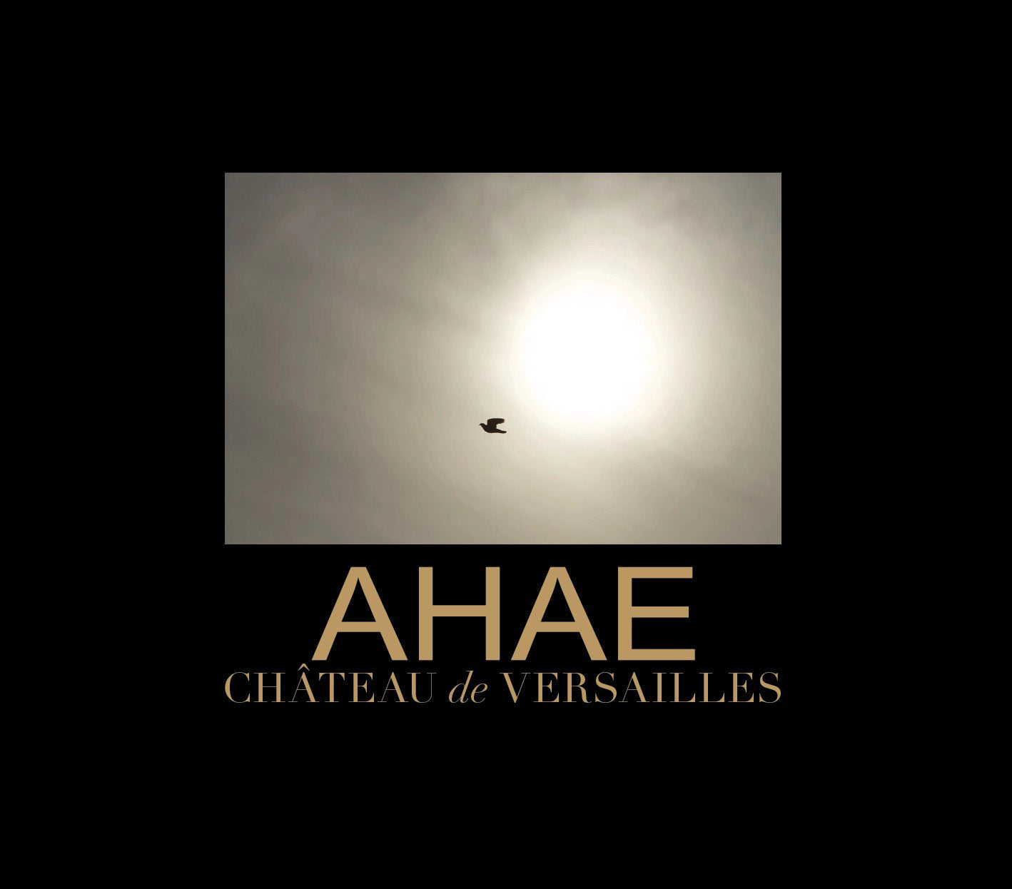 Château de Versailles – Ahae