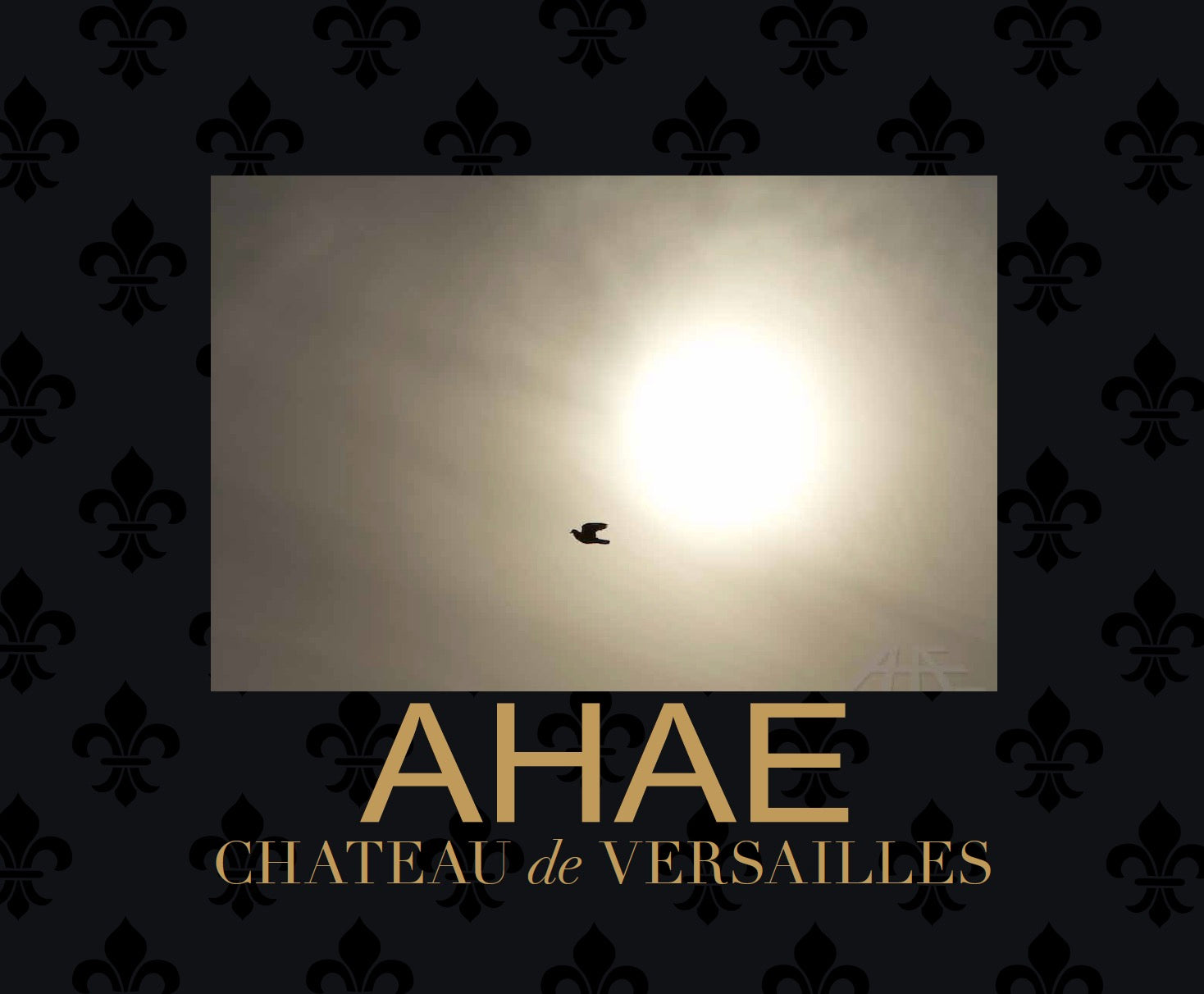 Limited 'Luxury' Edition Château de Versailles (English) – Ahae